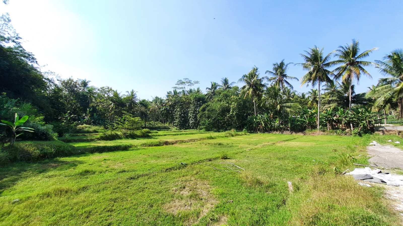 3KM Exit Tol Nanggulan, Tanah Dijual Jogja: SHM Pekarangan - Property listing thumbnail
