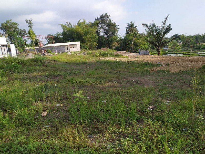 Siap AJB Tanah Jogja di Mlati Belakang Sleman City Hall - Property listing thumbnail