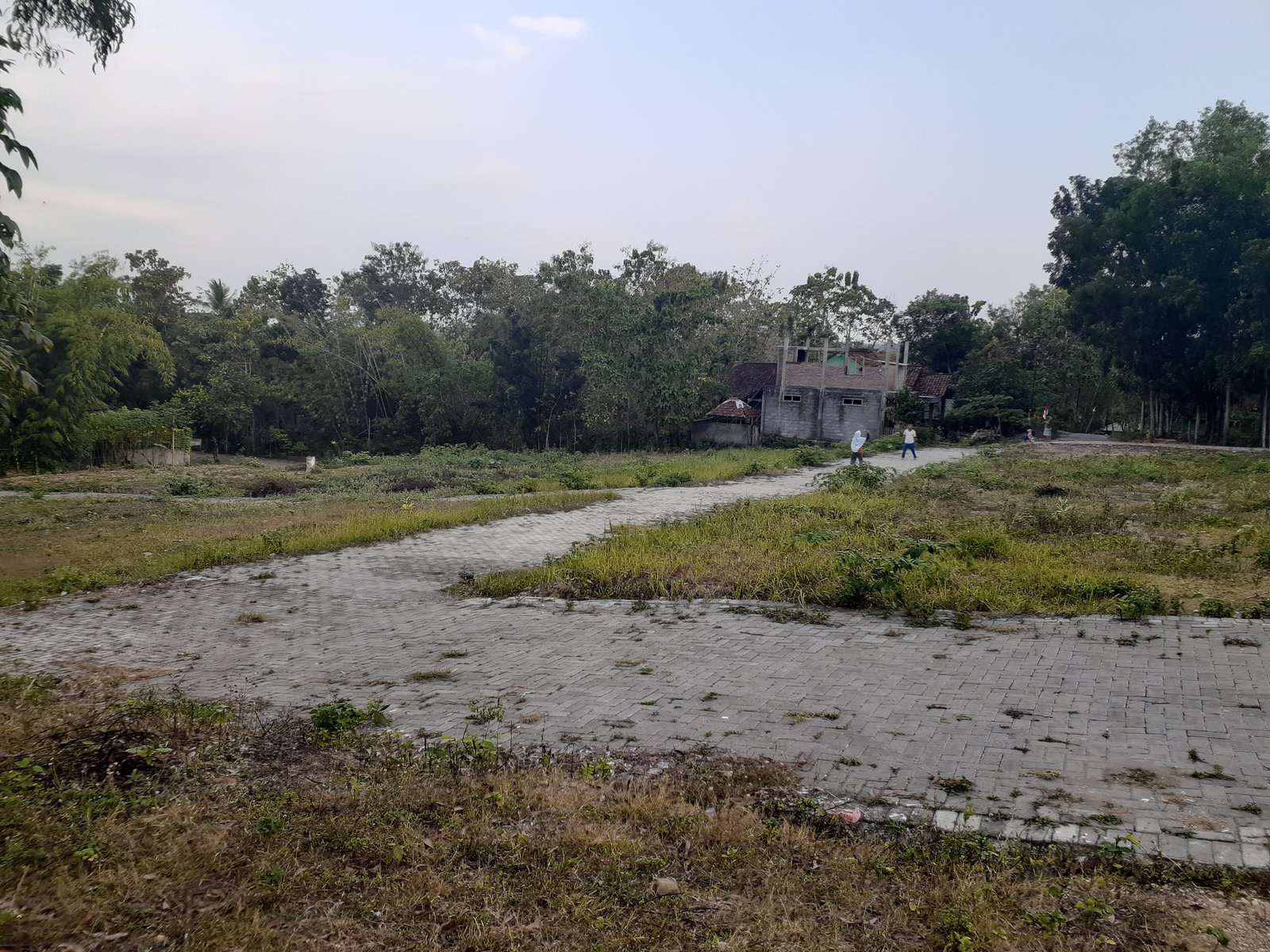 Dekat Kopi Ampirono Menoreh, Tanah Villa Jogja Barat : SHM Pekarangan - Property listing thumbnail