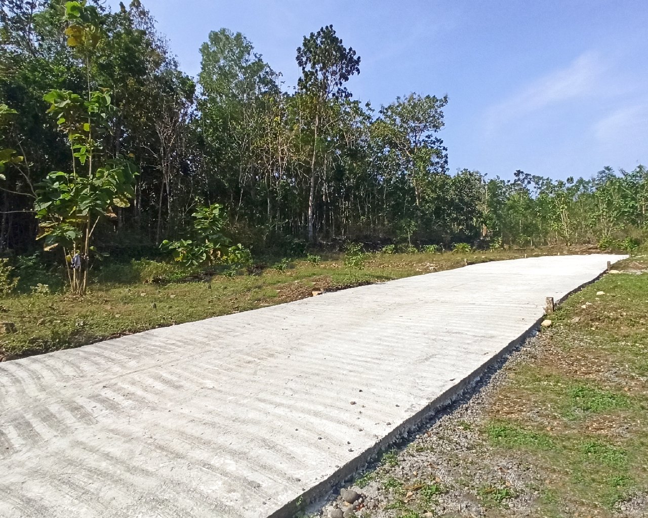 Dekat Bandara YIA Jogja, Jual Tanah Murah Jogja, Gotakan Panjatan - Property listing thumbnail