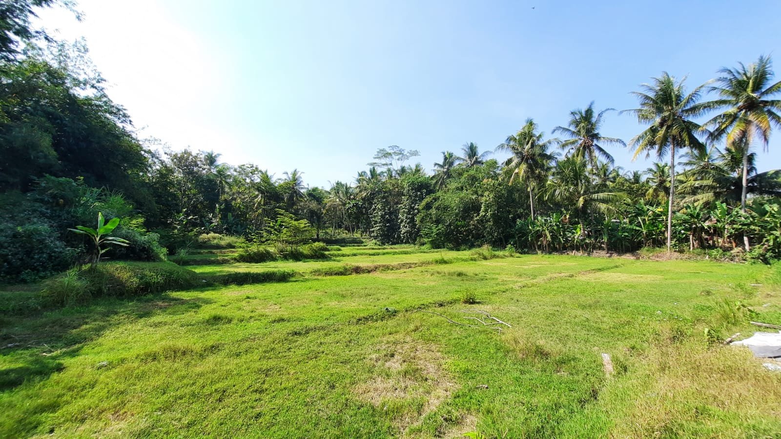 3KM Exit Tol Sentolo, Dijual Tanah Nanggulan Jogja - Property listing thumbnail