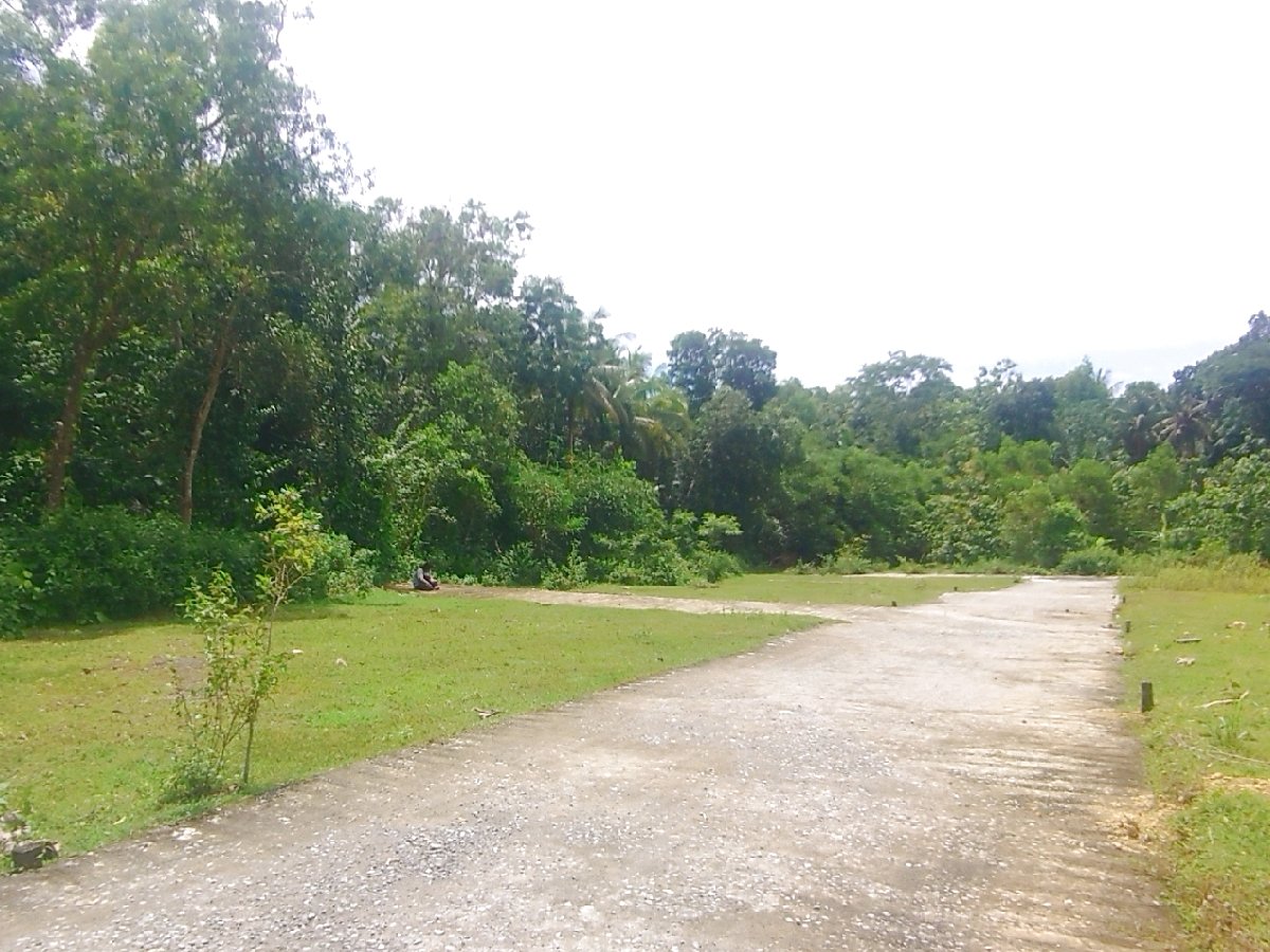 Di Jual Tanah Jogja Kulonprogo Giripeni View Dekat SMK N 1 Panjatan SHM Pekarangan - Property listing thumbnail