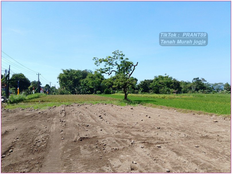 Maguwoharjo dekat kampus UNRIYO tajem tanah 3 jtan tepi aspal - Property listing thumbnail