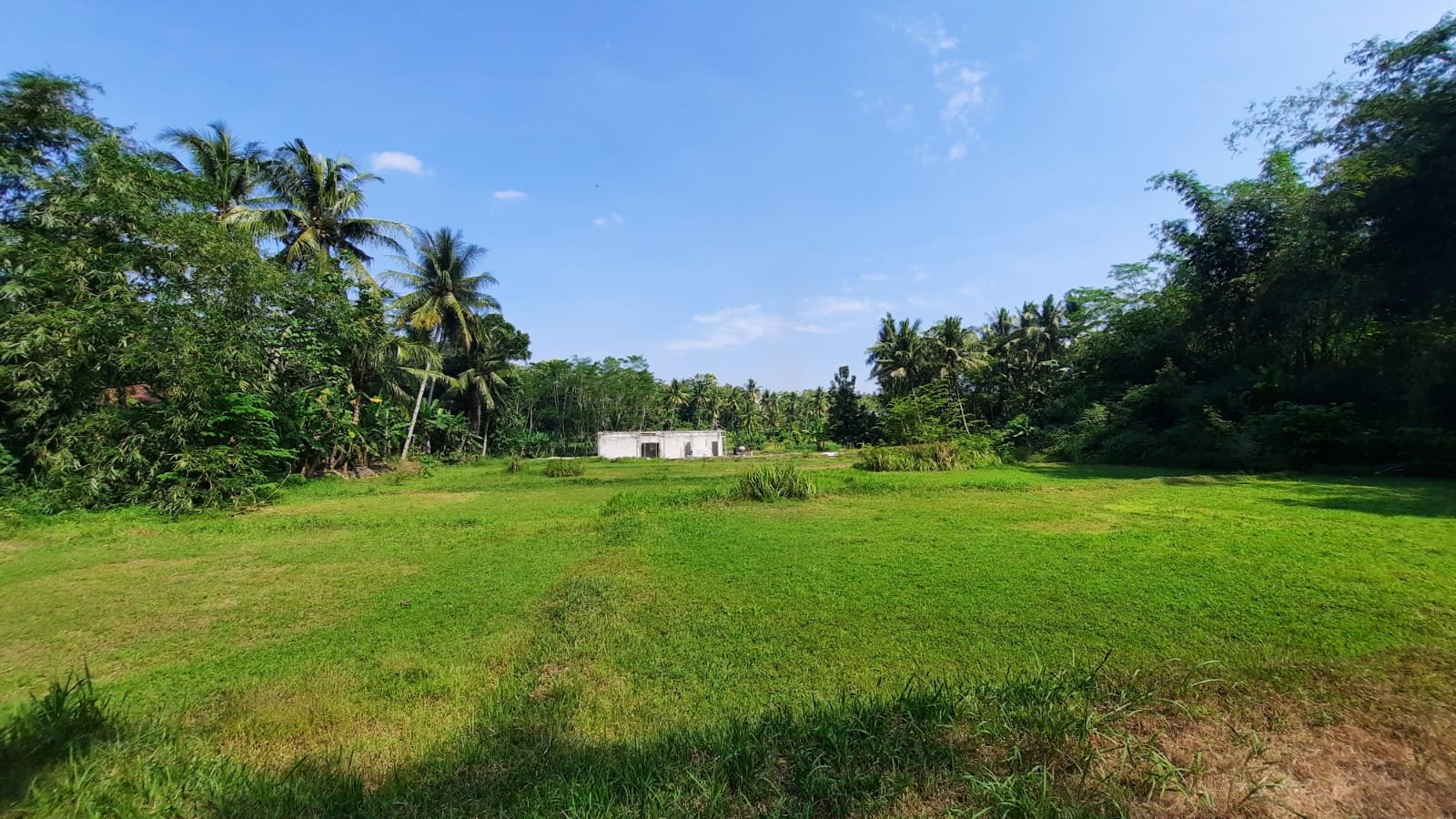 2KM RSUD Nyi Ageng Serang Nanggulan, Dijual Tanah Kulonprogo - Property listing thumbnail