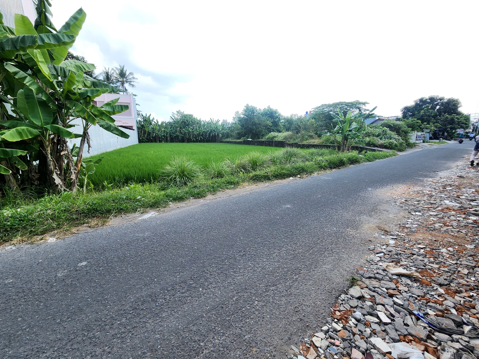 Tanah Jogja Maguwoharjo Sleman 2 Menit Ke Jogja Bay - Property listing thumbnail